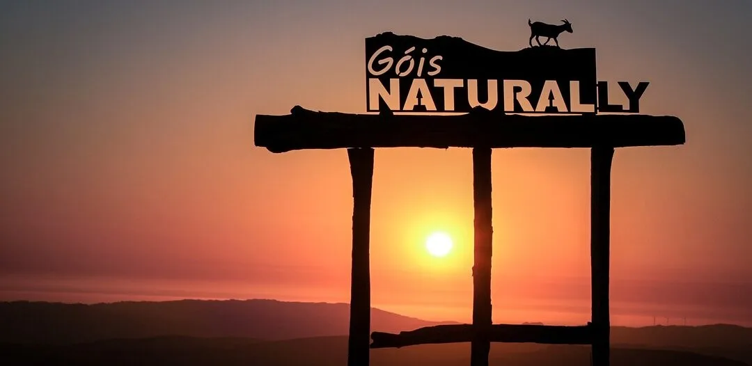 Sessão 17 - Sinais de alerta e estratégias comunicacionais e ambiente escolar